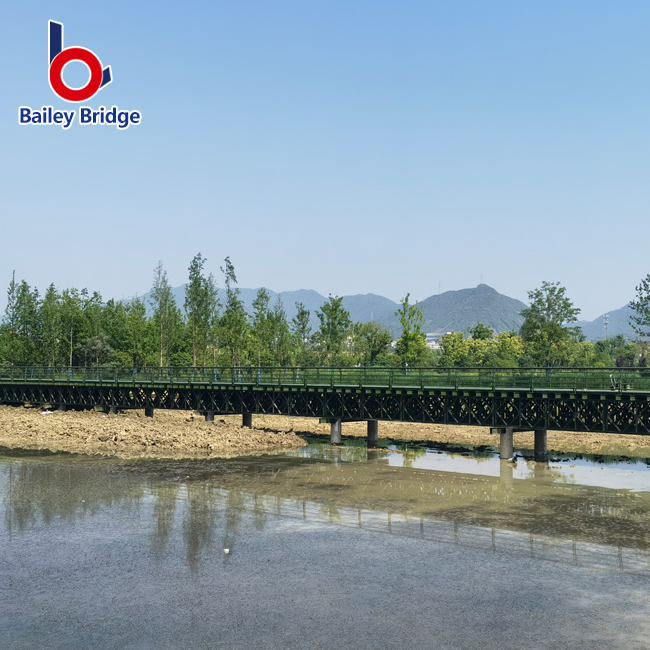 bailey bridge with professional erection guidance 